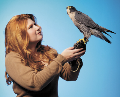rebecca and falcon